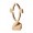 CROCE ICHTHUS
