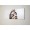 PANN.BIANCO 120X50 MAD.RAFFAELLO